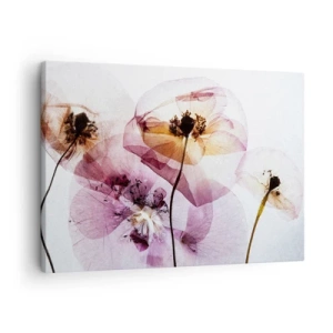 Canvas picture - Delicate transparent flowers in pastel shades - 70x50cm - Flower Body Slide - Modern wall decoration for the living room and bedroom ARTTOR