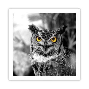 Poster - Nothing Can Hide - 60x60 cm