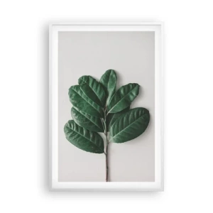 Poster in white frmae - Drawing of Nature Itself - 61x91 cm