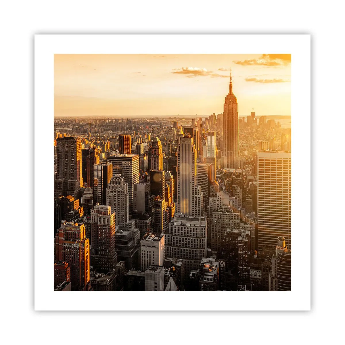 Poster - Growing in the Sun - 50x50 cm