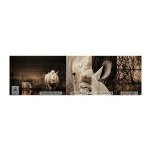 Photo Wallpaper Sample Premium Sand - White against Nature - Rhinoceros, Animals, Africa - 100x30 cm