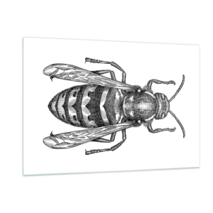 Glass picture - From Insect Planet - 120x80 cm