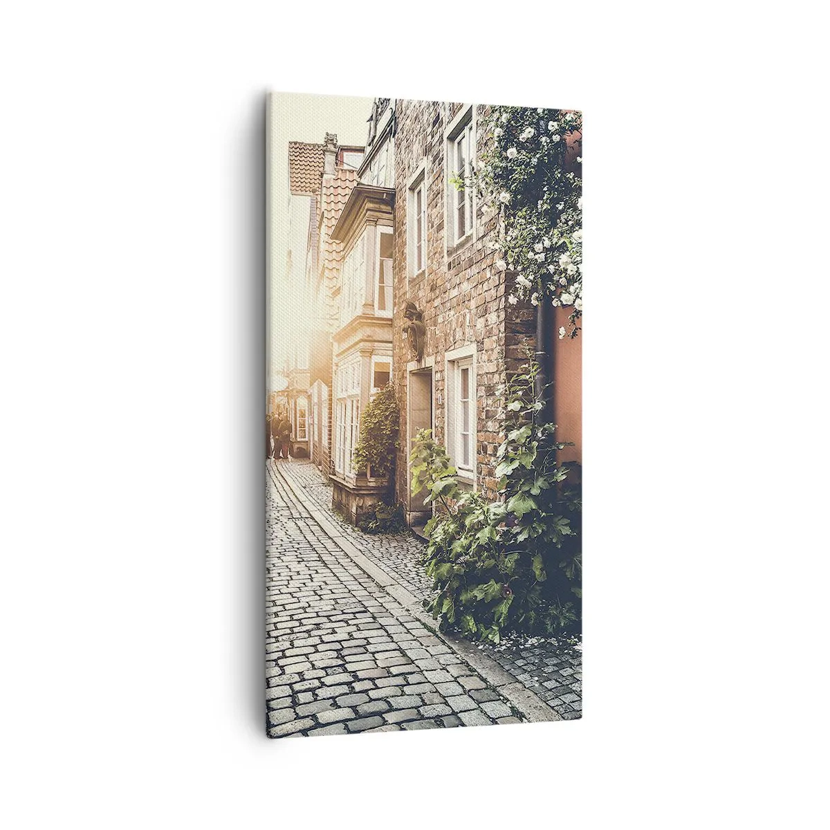 Canvas picture - Rosy Alley in a Pink Glow - 55x100 cm