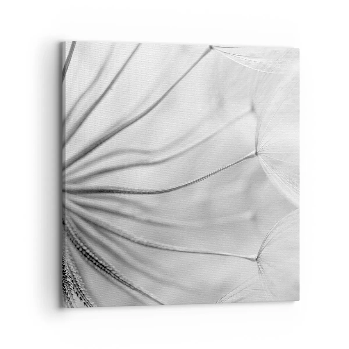 Canvas picture - Dandelion Kites - 70x70 cm