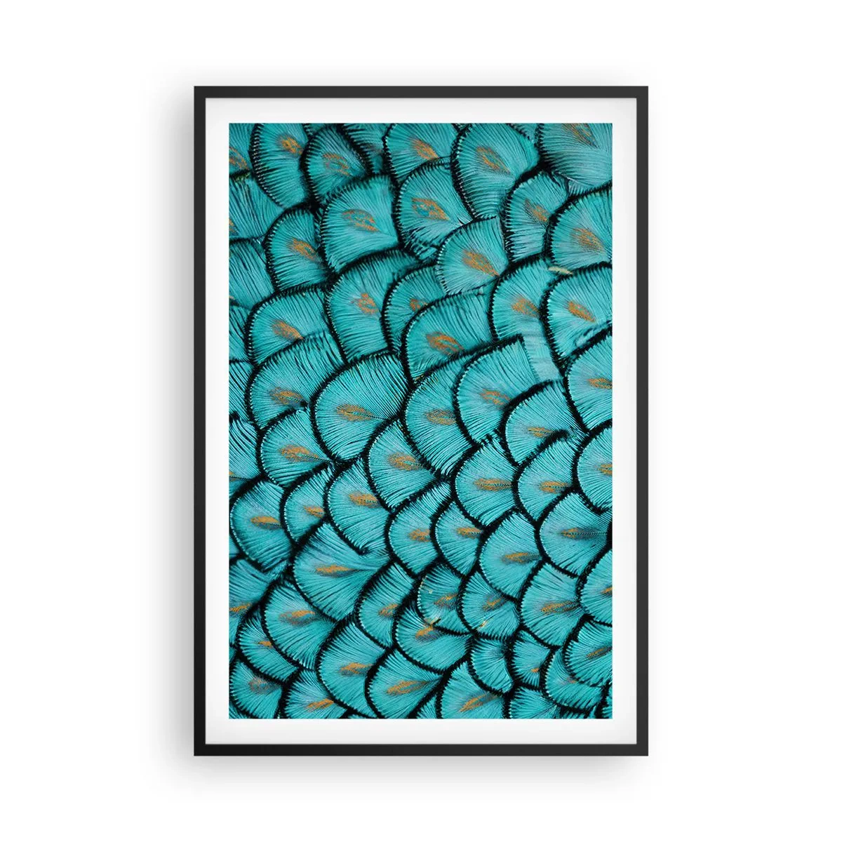 Poster in black frame - Great Feather Gala - 61x91 cm