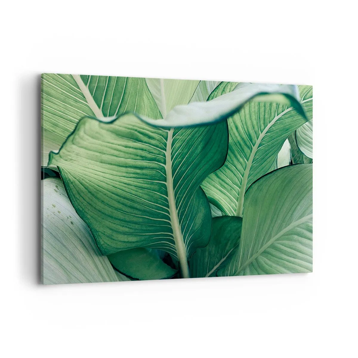 Canvas picture - Life in Intense Green Colour - 120x80 cm