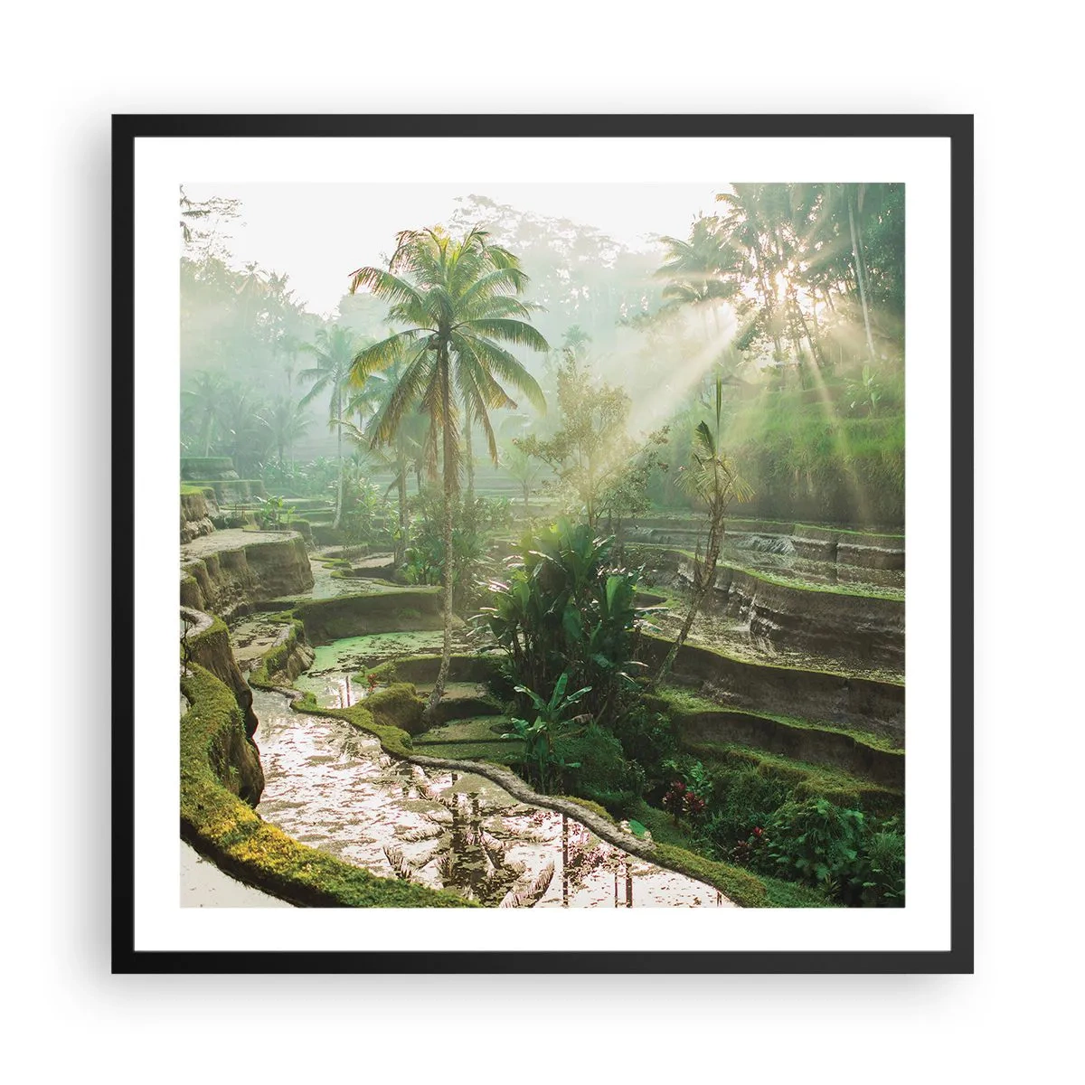 Poster in black frame - Maturing in the Sun - 60x60 cm