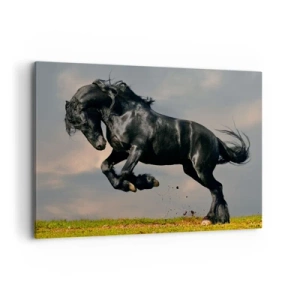 Canvas picture - Beautiful and Free - 100x70 cm