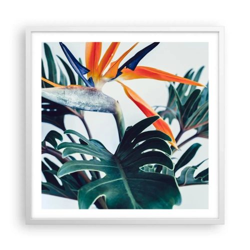 Poster in white frmae - Birdy Bush - 60x60 cm