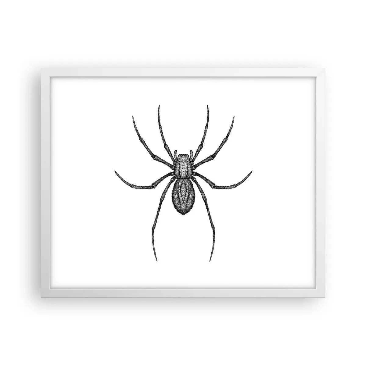 Poster in white frmae - Disturbing Precision - 50x40 cm