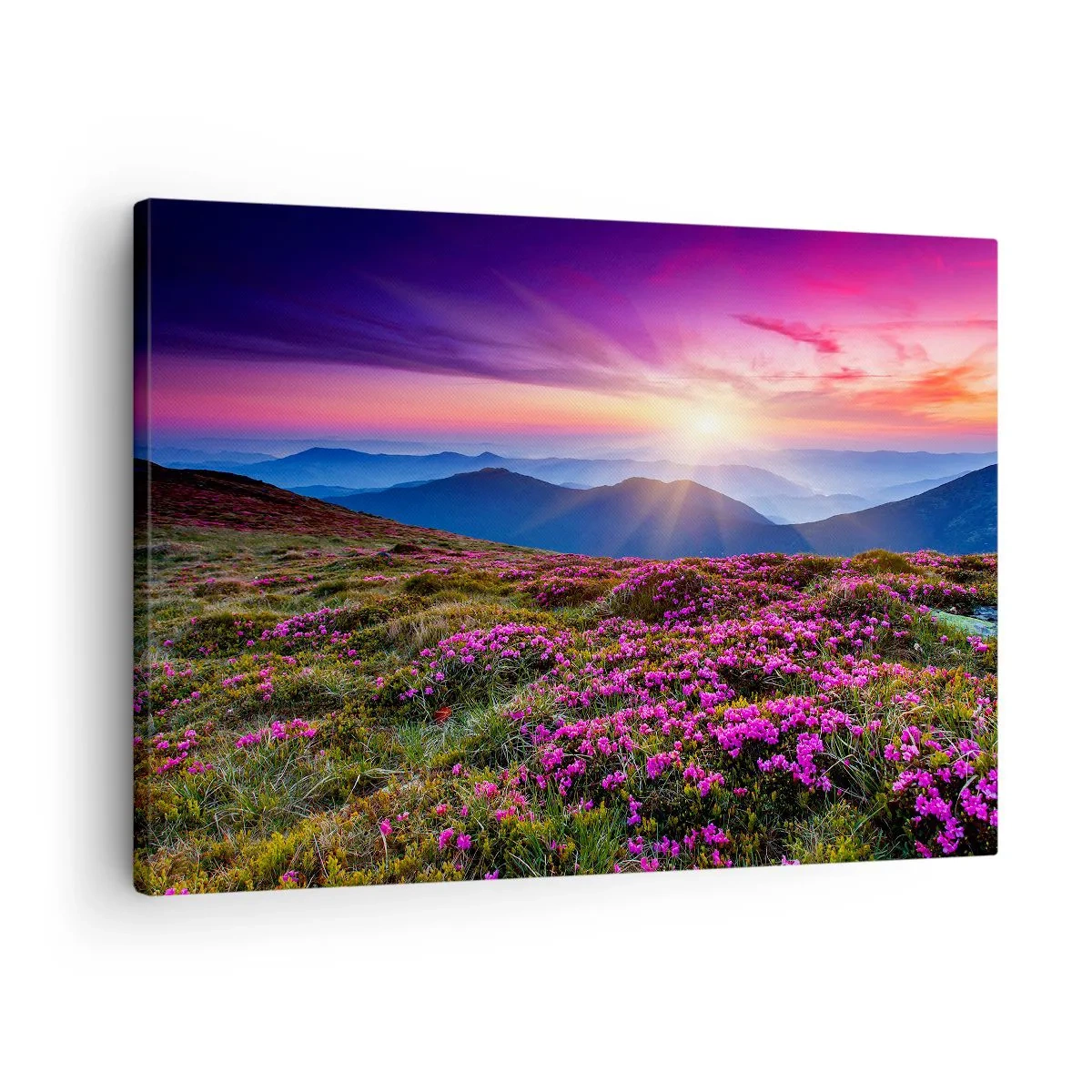 Canvas picture - Mountain meadow with flowers at sunset - 70x50cm - Smells Strongly of Herbs - Modern wall decoration for the living room and bedroom ARTTOR