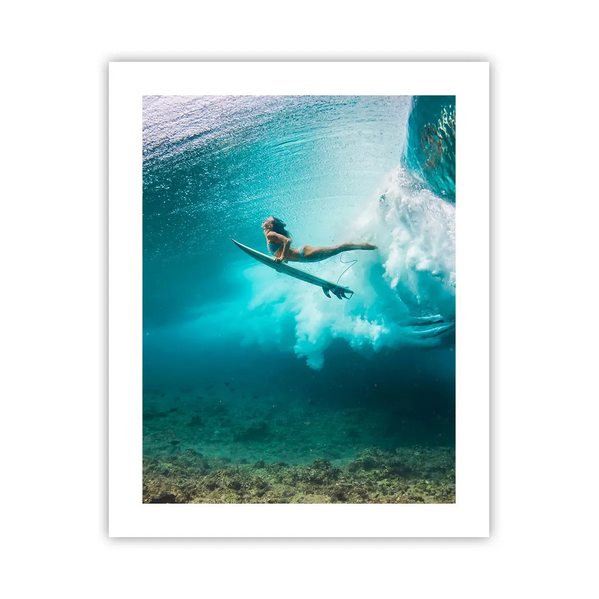 Poster - Undewater World - 40x50 cm