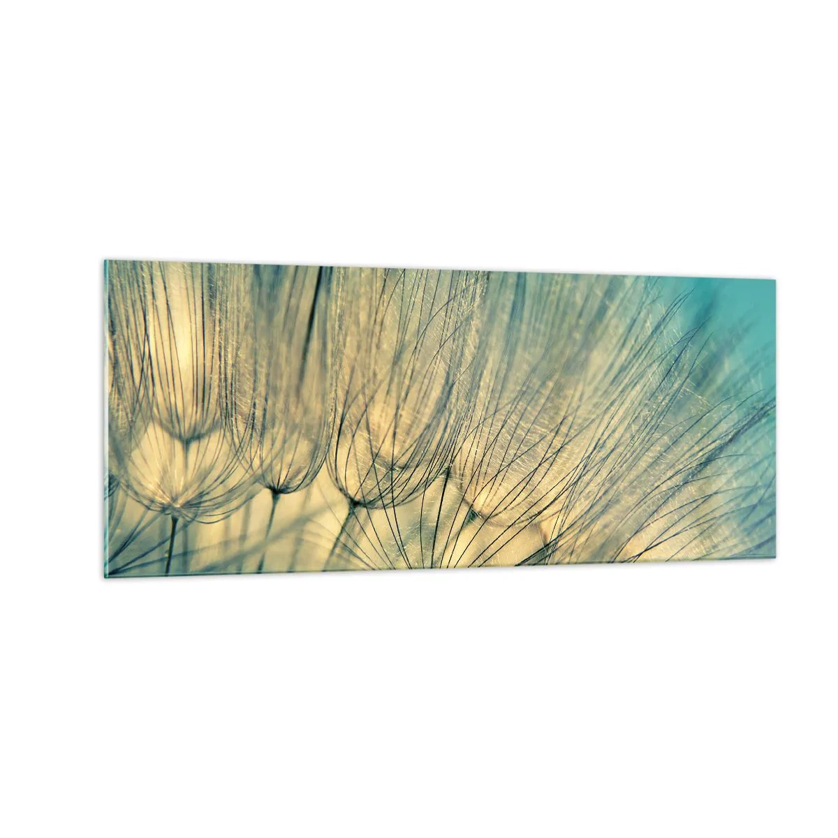 Glass picture - Waiting for the Wind - 100x40 cm