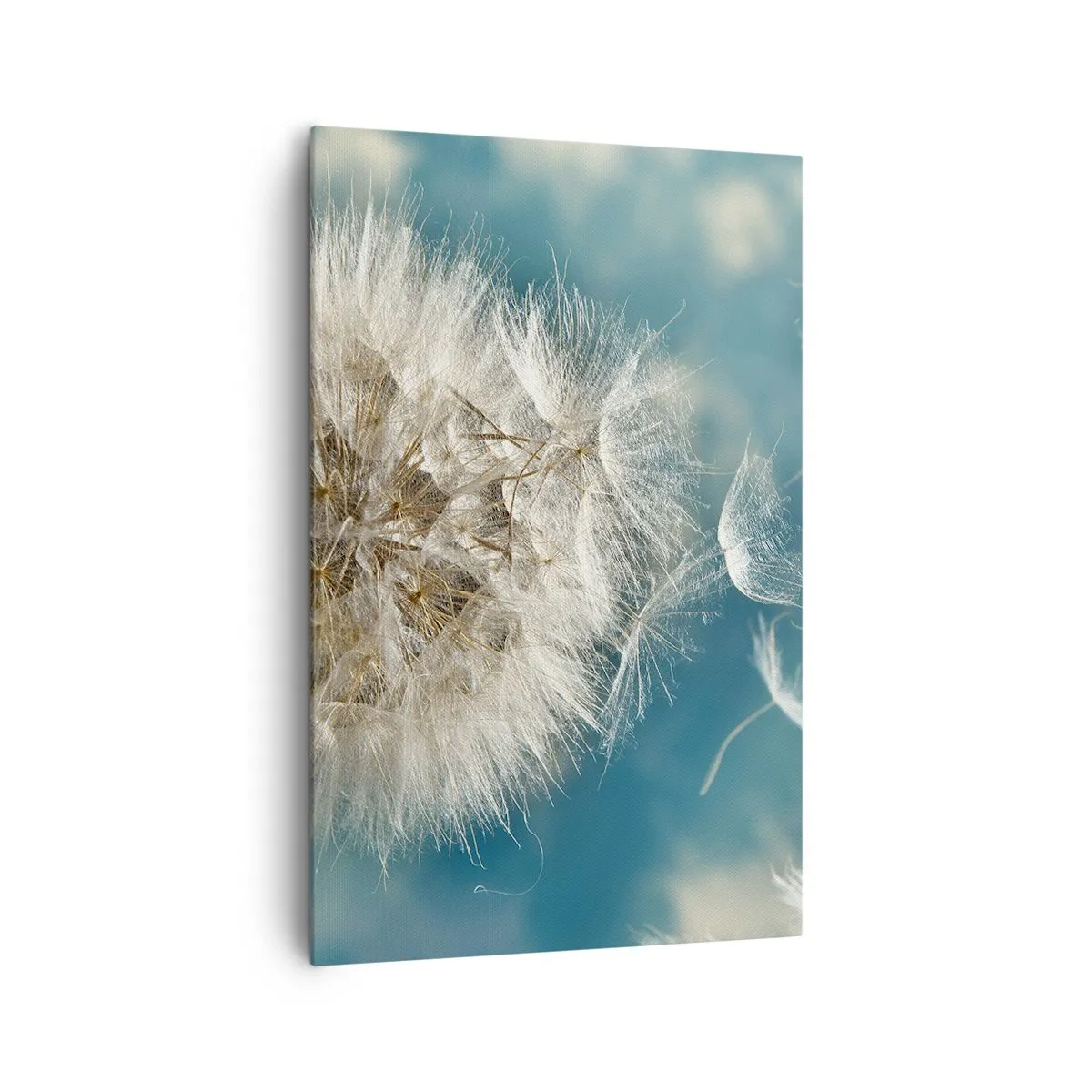 Canvas picture - Breath of an Angel - 80x120 cm