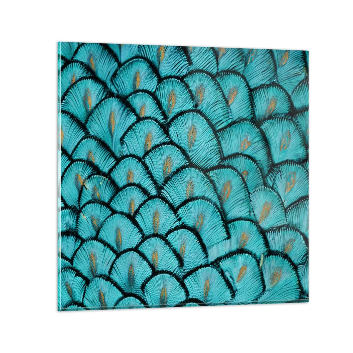 Glass picture - Great Feather Gala - 40x40 cm