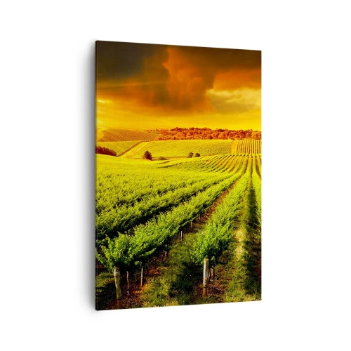 Canvas picture - Under Australian Sun - 70x100 cm