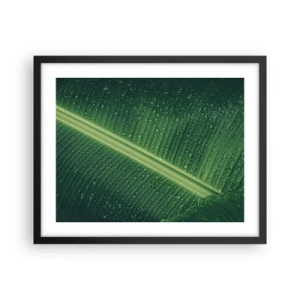 Poster in black frame - Structure of Green - 50x40 cm