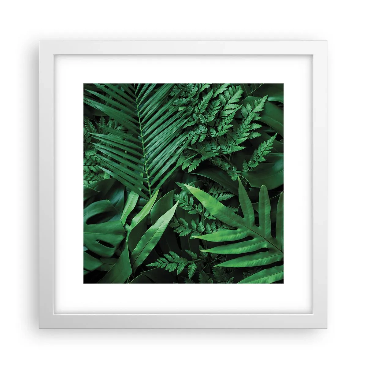 Poster in white frmae - In a Green Hug - 30x30 cm