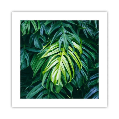 Poster - Immerse Yourself in Freshness - 40x40 cm