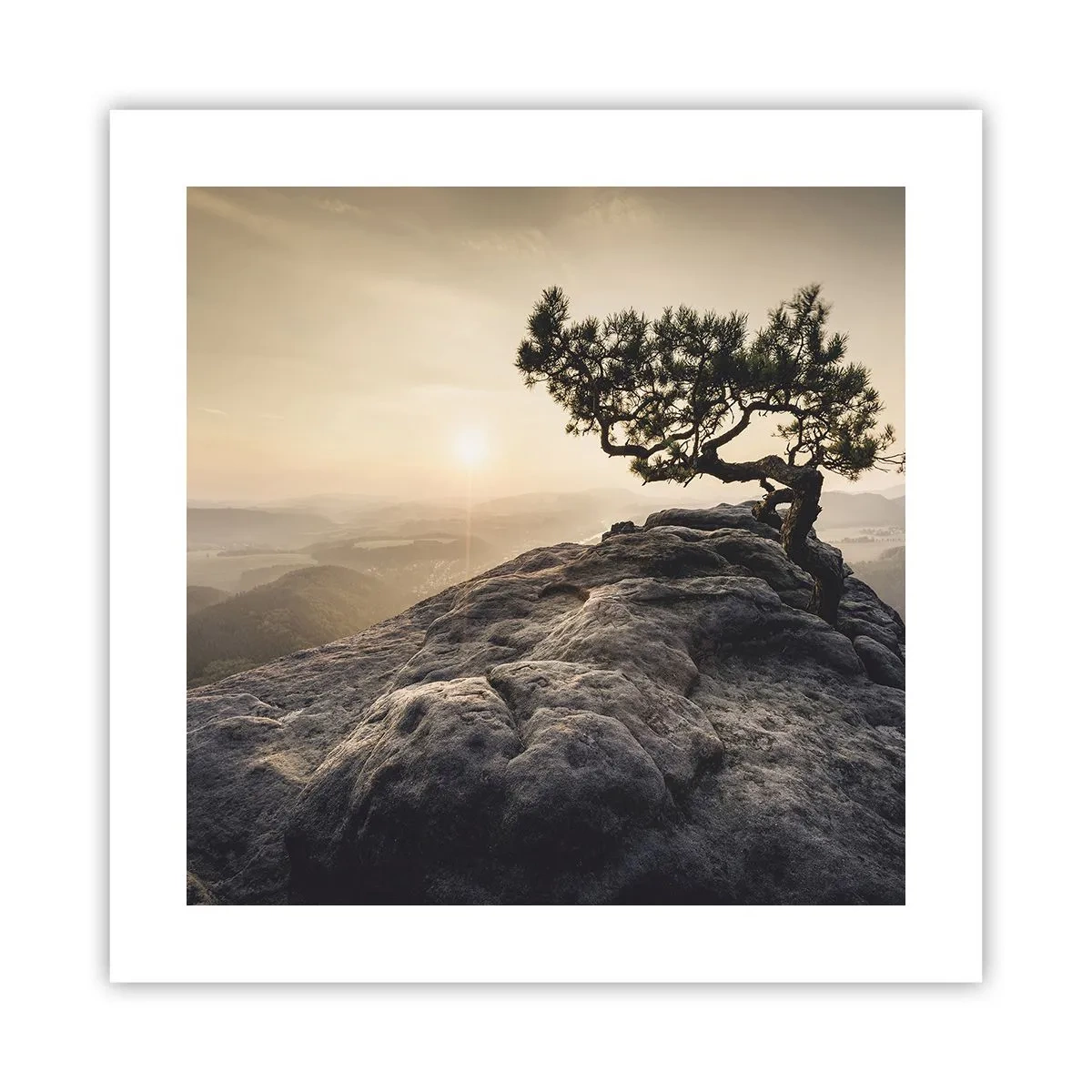 Poster - Life Always Wins - 40x40 cm