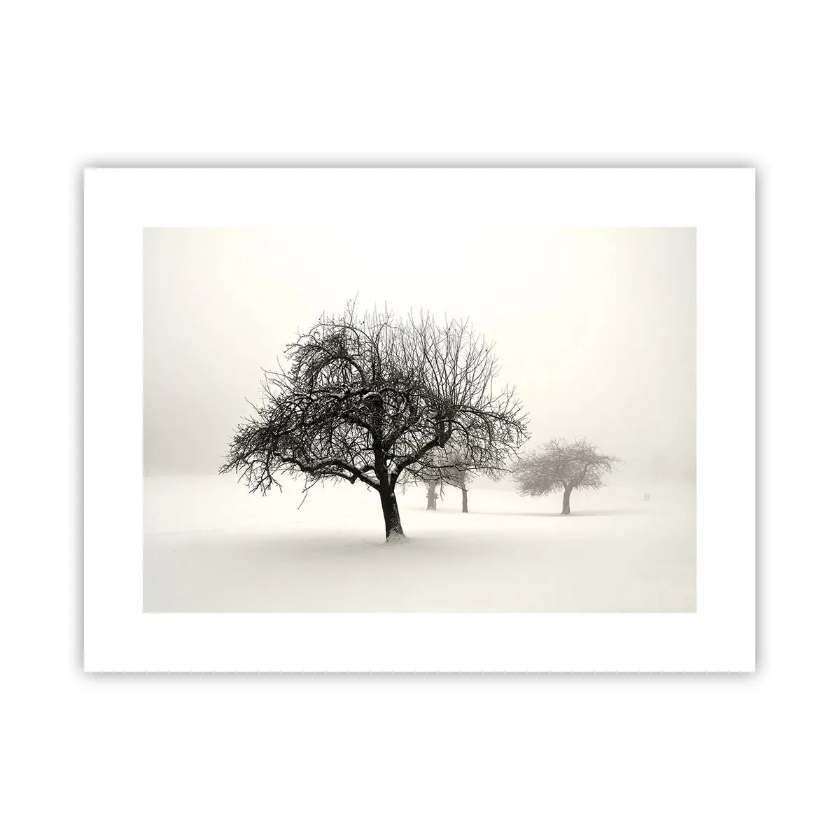 Poster - Winter Dream - 40x30 cm