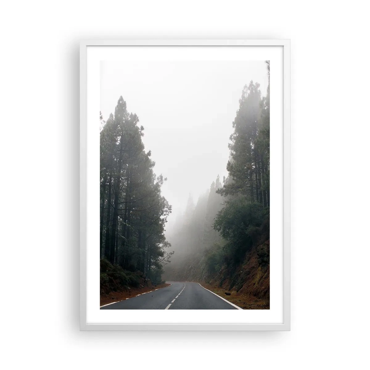 Poster in white frmae - Tale of a Magic Forest - 50x70 cm
