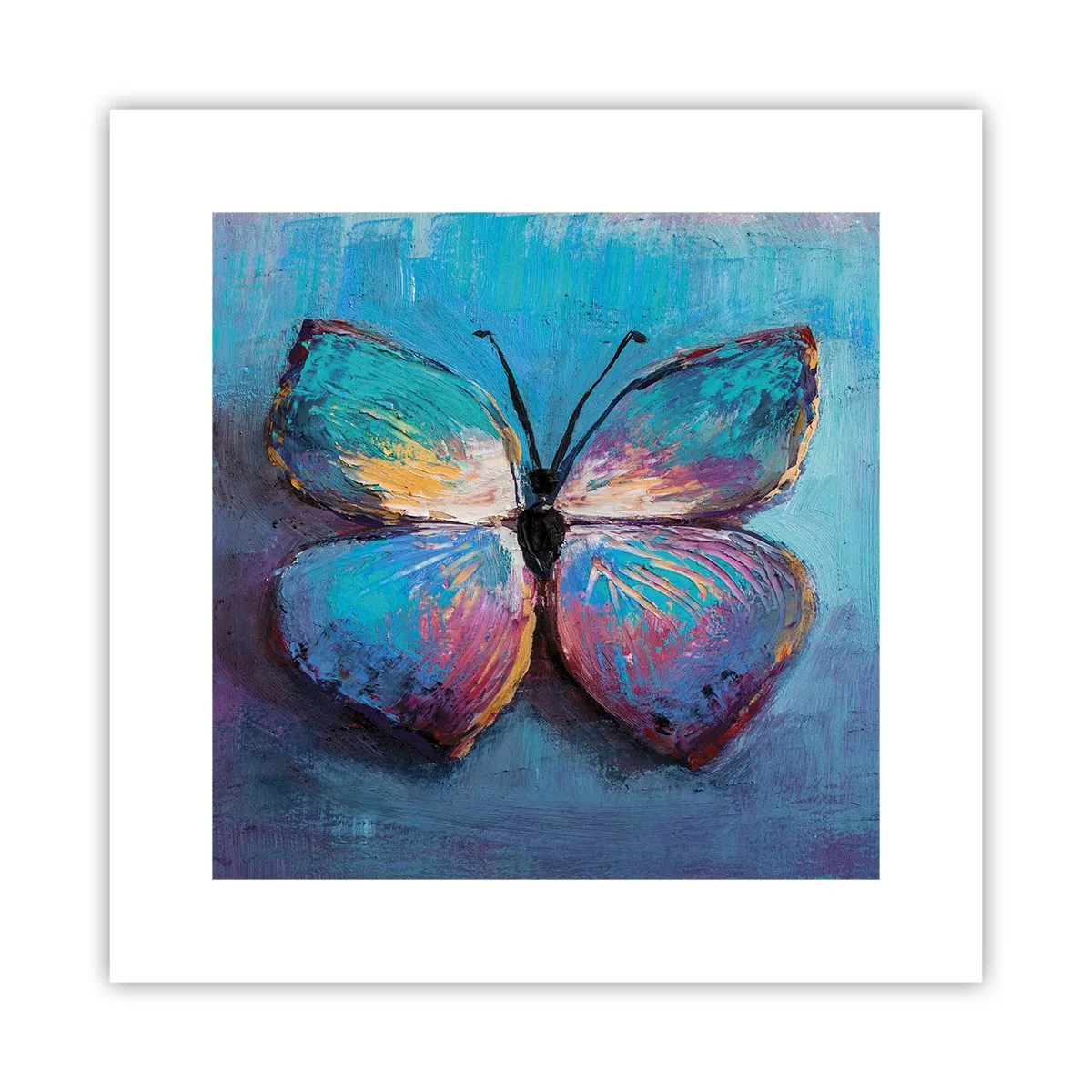 Poster - In Full Splendour - 30x30 cm