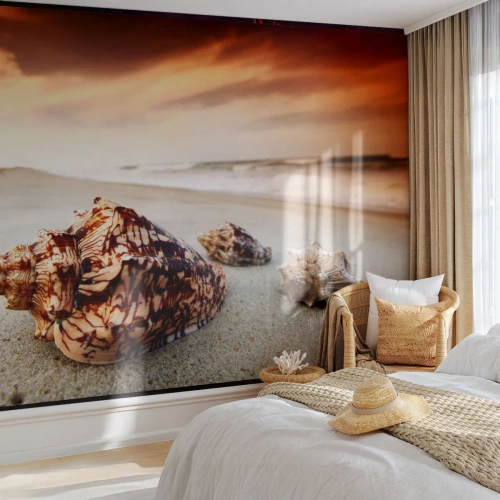 Custom Wallpaper Premium Canvas - Expelled by Waves - Landscape, Sea, Seashell