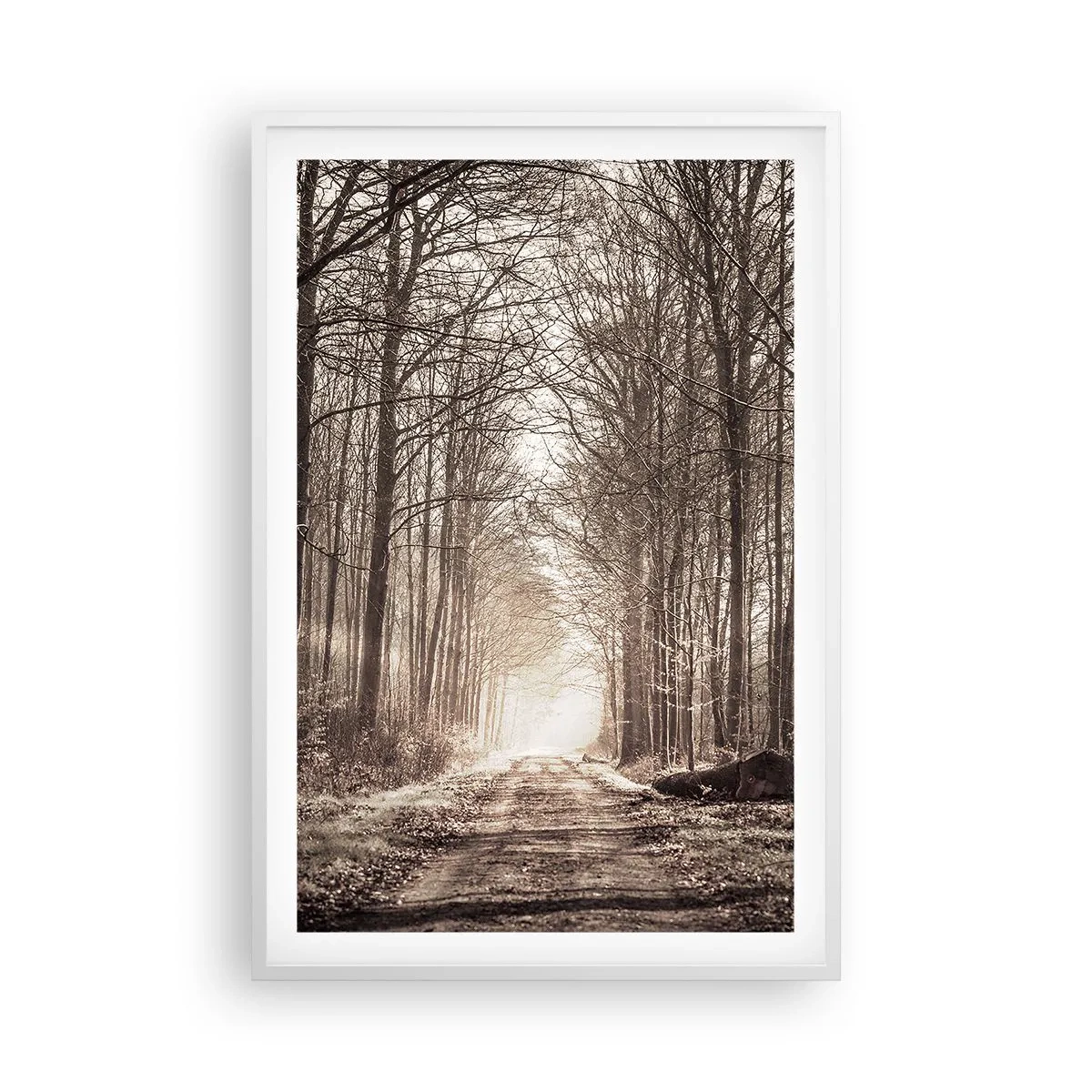 Poster in white frmae - Cathedral of the Forest - 61x91 cm