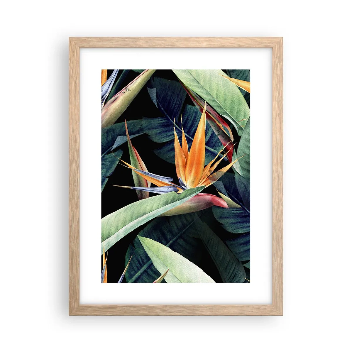 Poster in light oak frame - Flaming Flowers of the Tropics - 30x40 cm