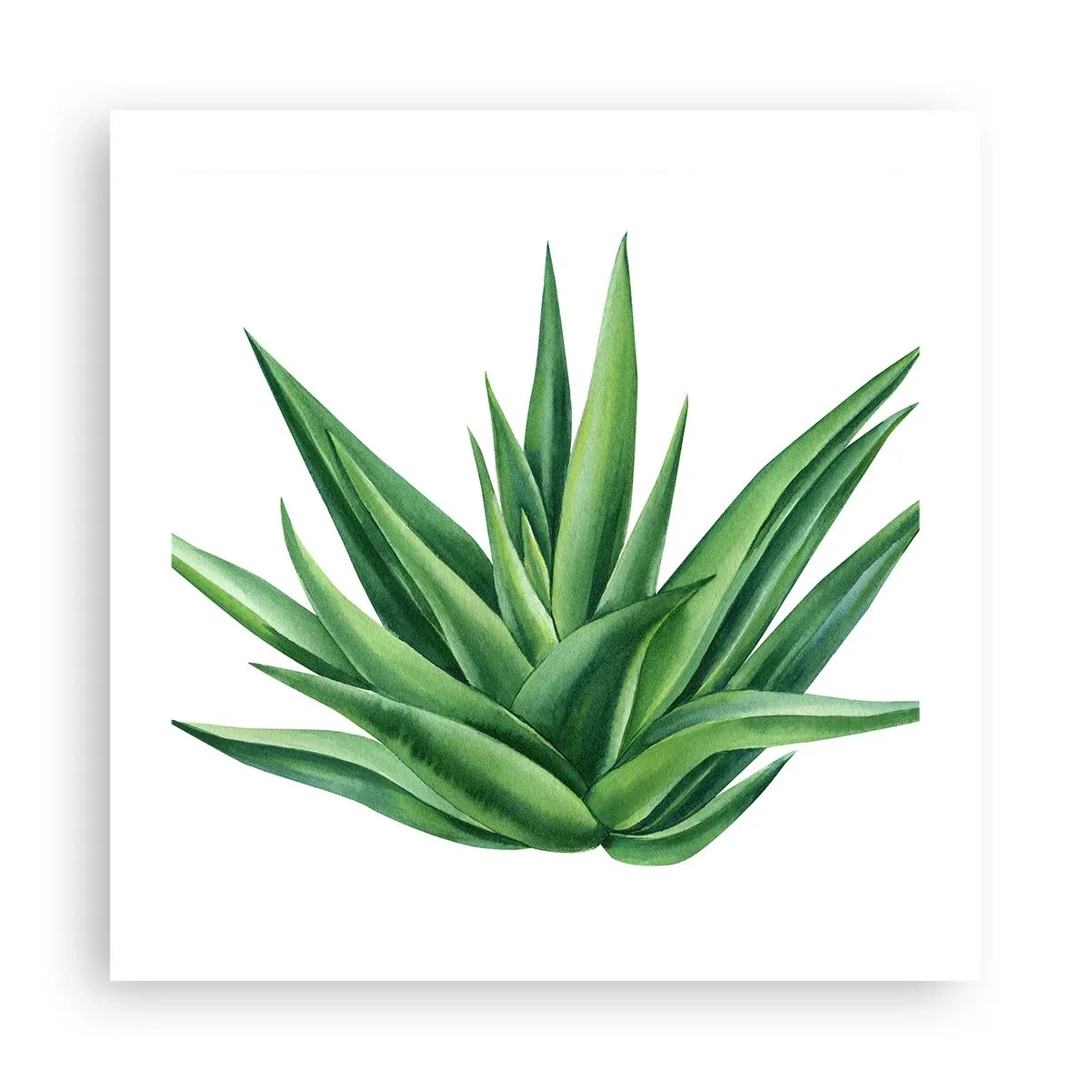 Poster - Green - Power - Life - 50x50 cm