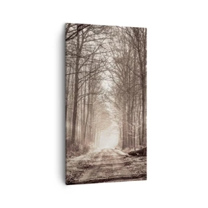Canvas picture - Cathedral of the Forest - 45x80 cm