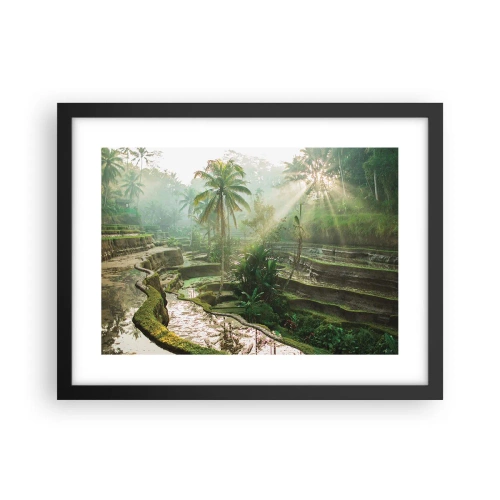 Poster in black frame - Maturing in the Sun - 40x30 cm