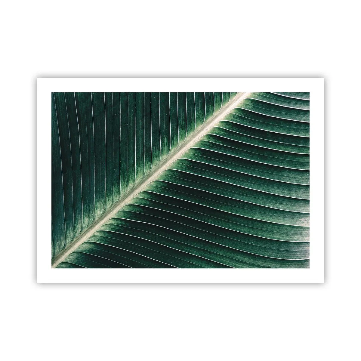 Poster - Rhythm of Nature - 70x50 cm