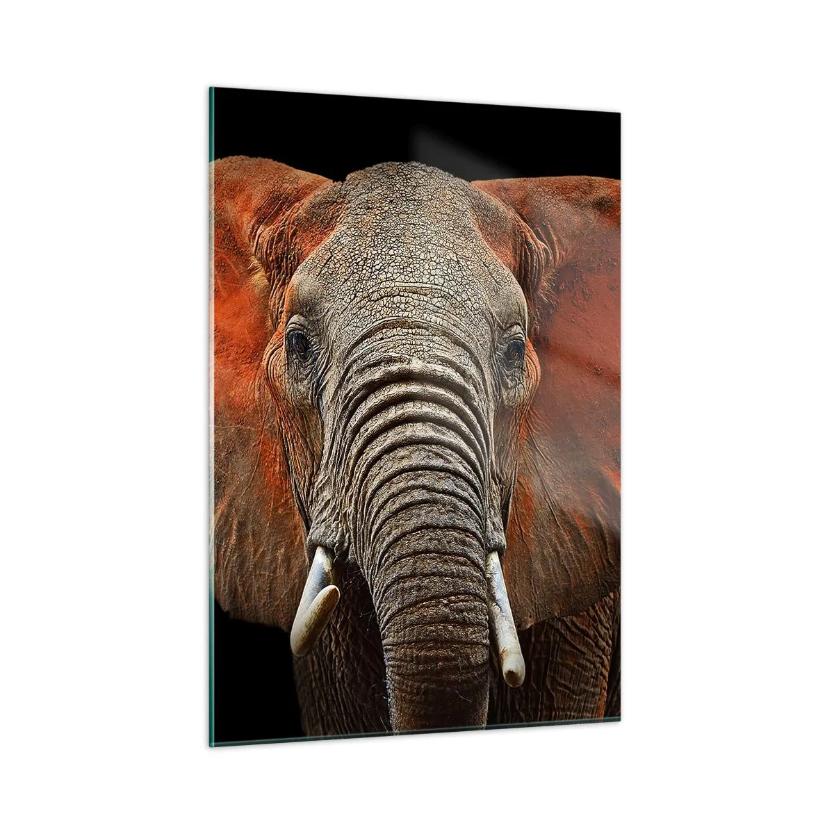 Glass picture - I am Wild, and You? - 50x70 cm