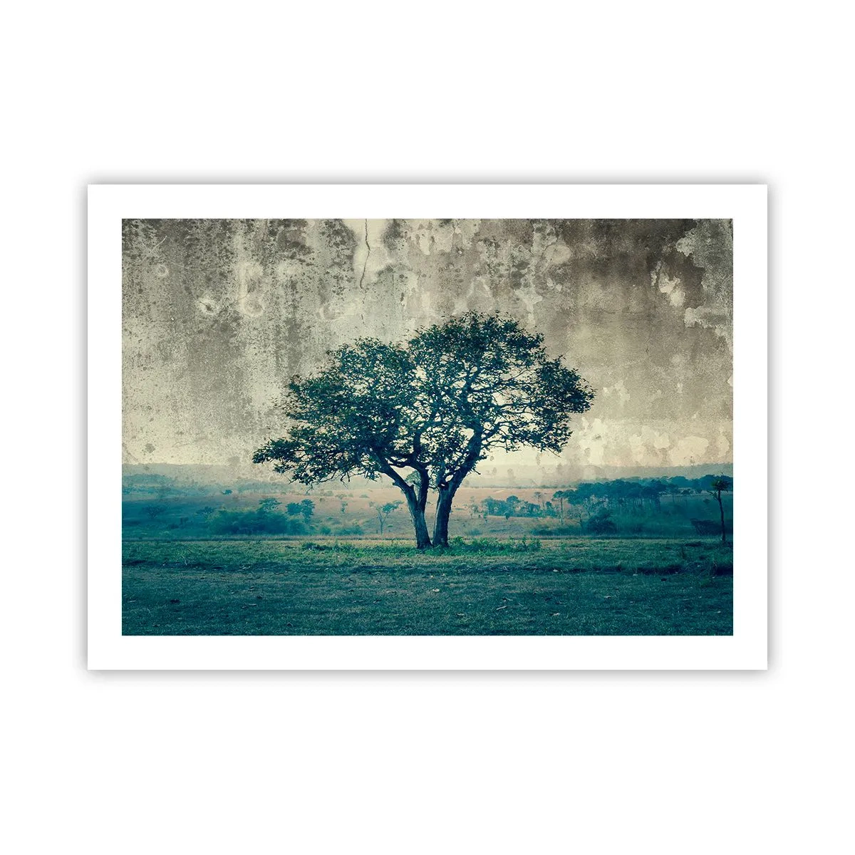 Poster - Apple Tree in Blue? - 70x50 cm