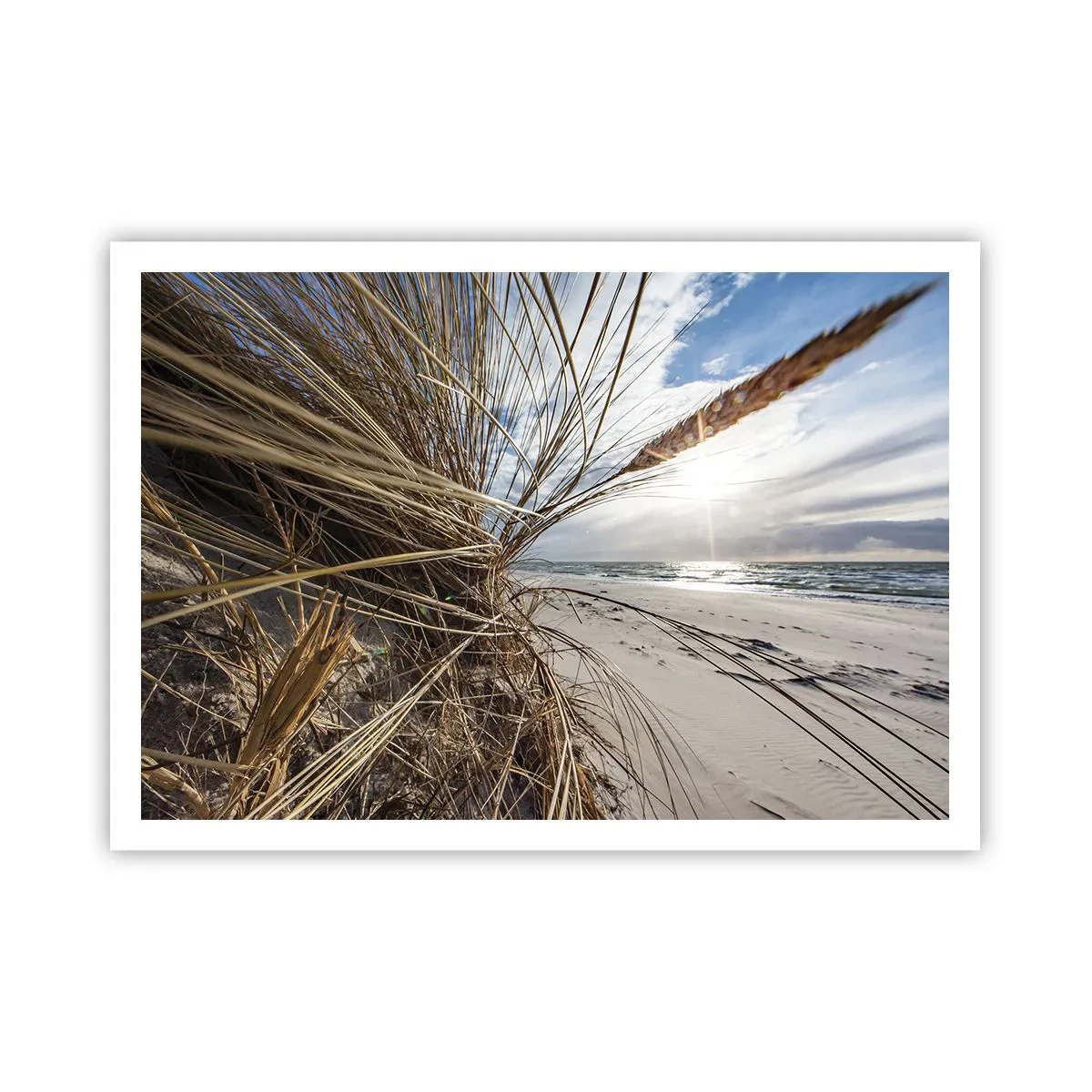 Poster - Enounter of the Elements - 100x70 cm