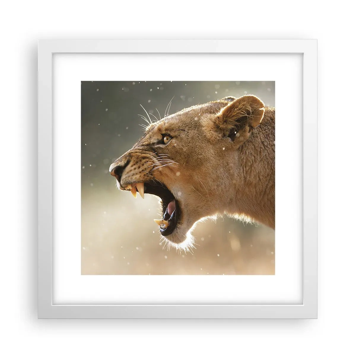 Poster in white frmae - Try Not to Listen - 30x30 cm