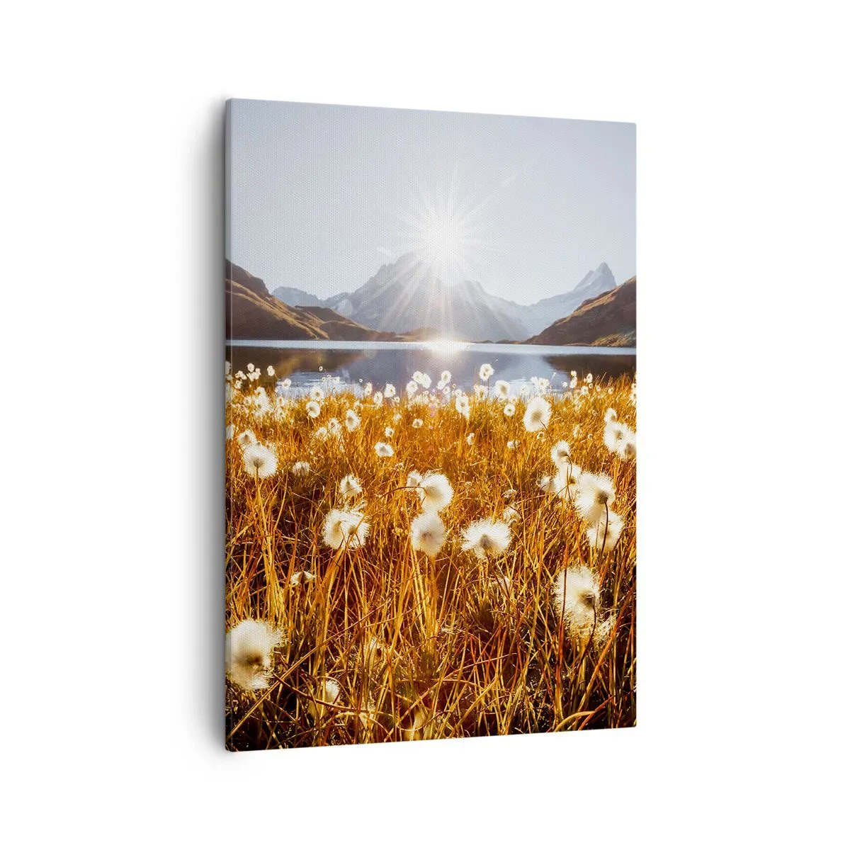 Canvas picture - Toughness of Rocks, Softness of Grass - 50x70 cm