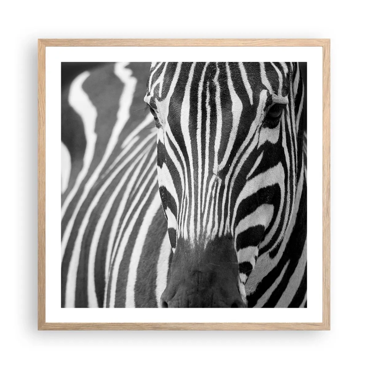 Poster in light oak frame - World Is Black and White - 60x60 cm
