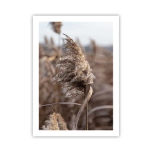 Poster - Time to Fly with the Wind - 50x70 cm