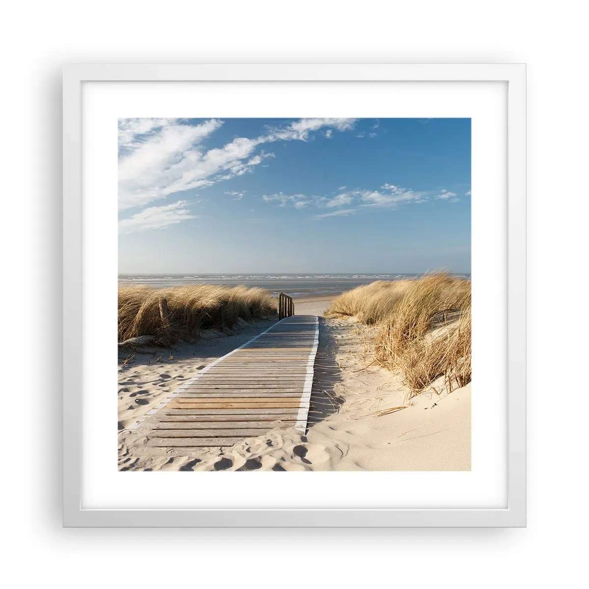 Poster in white frmae - Behind a Dune, in the Hum of Trees - 40x40 cm
