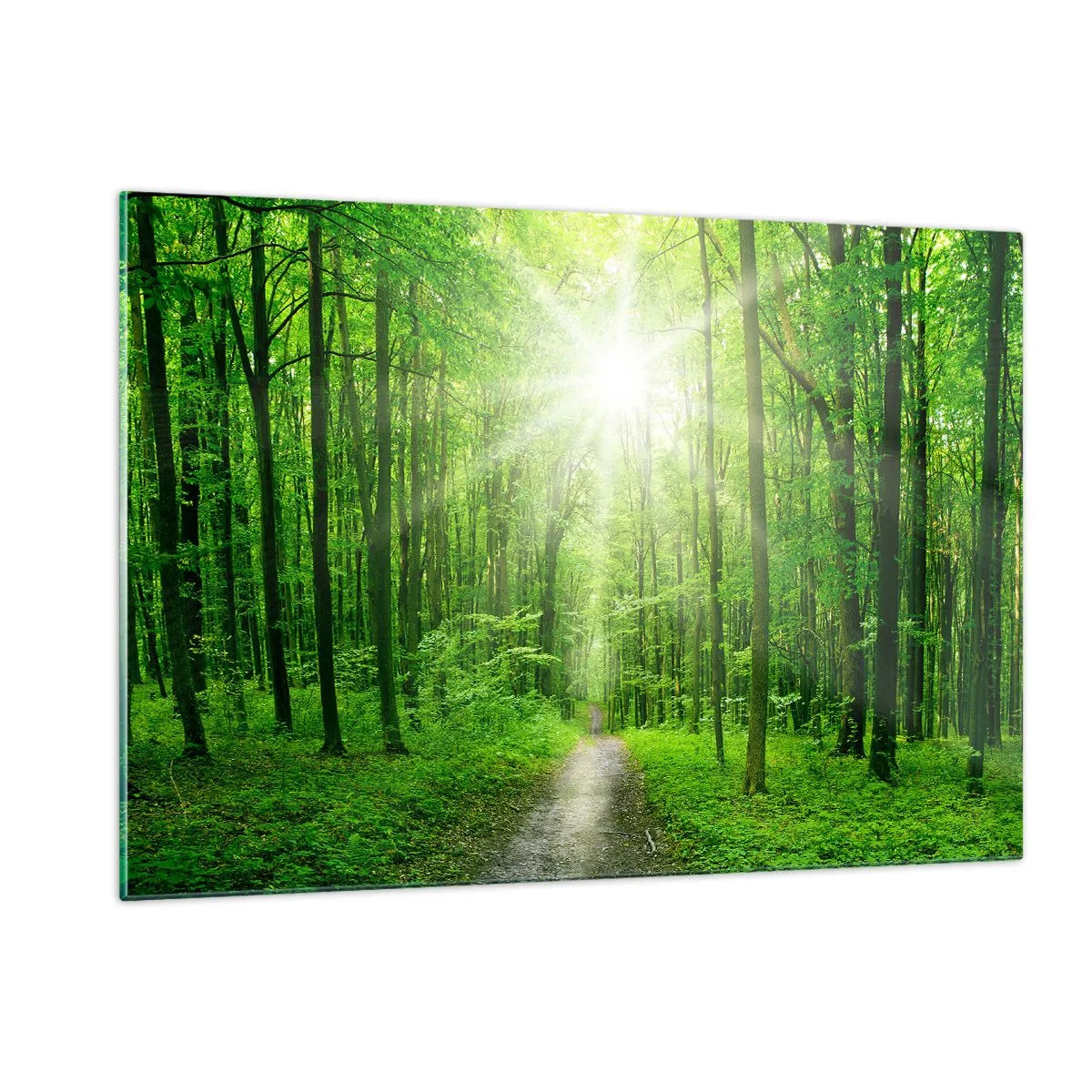 Glass picture - Green Cathedral - 120x80 cm