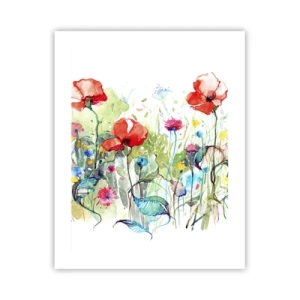 Poster - Meadow in May - 40x50 cm