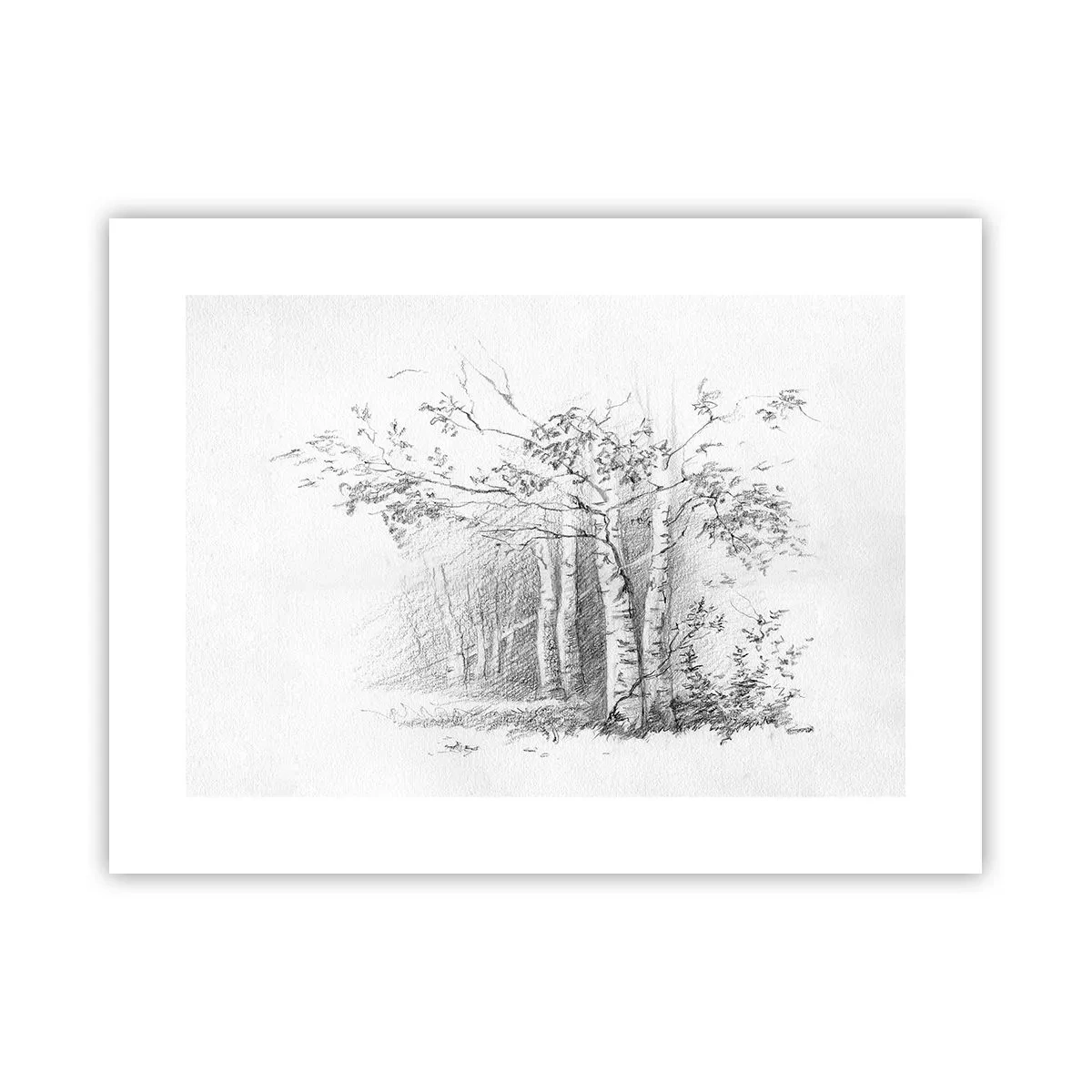 Poster - Holiday of Birch Forest - 40x30 cm