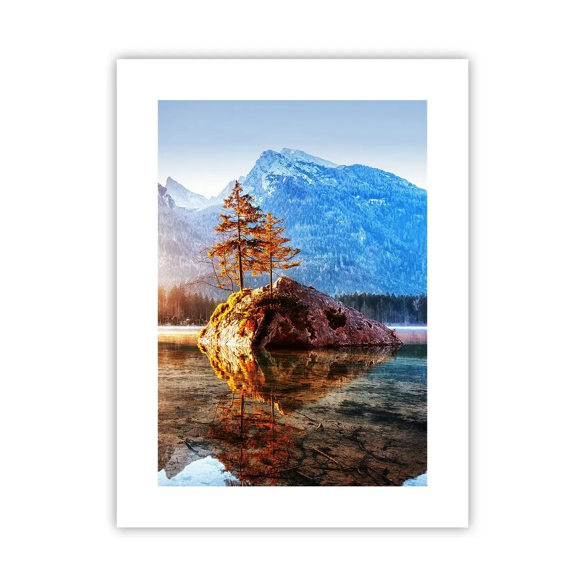Poster - Nature in New Light - 30x40 cm