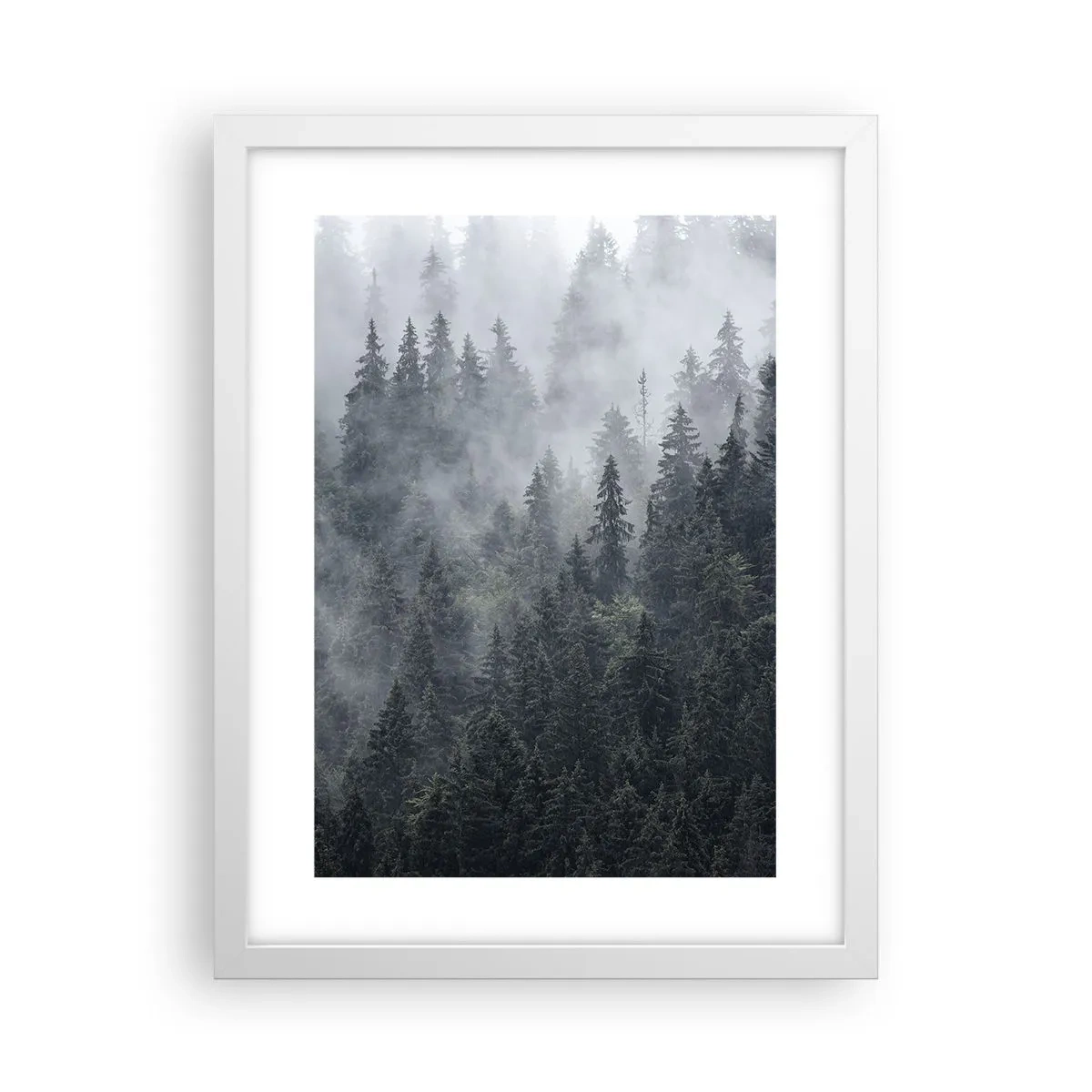 Poster in white frmae - Forest World - 30x40 cm
