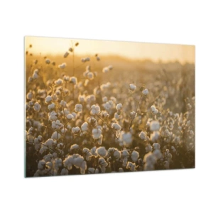 Glass picture - Fluffy Field - 100x70 cm