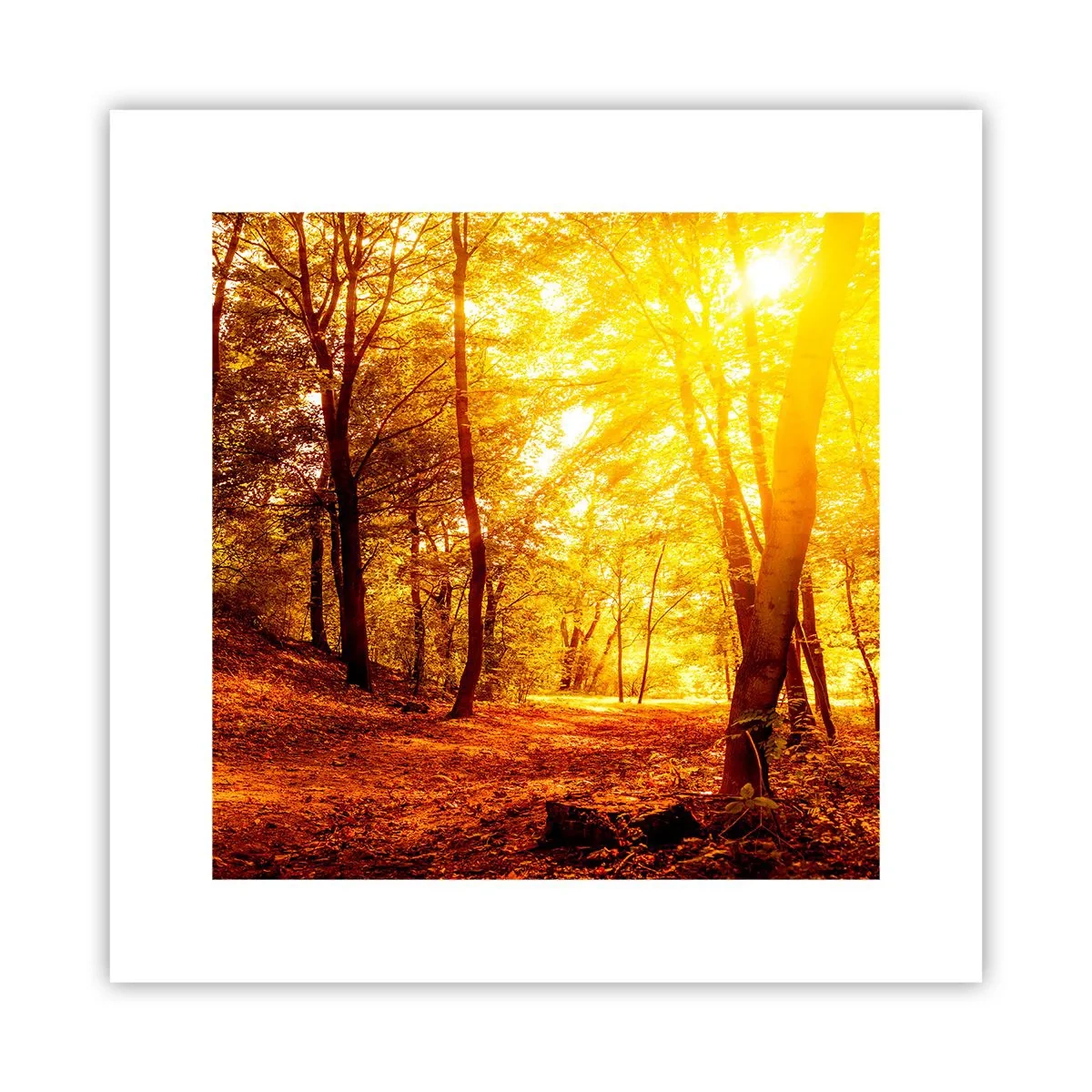 Poster - Towards Golden Plain - 30x30 cm