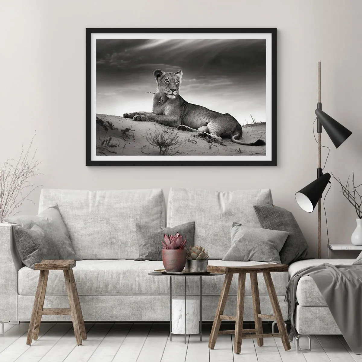 Poster in black frame - Queen of Desert Is Resting - 100x70 cm